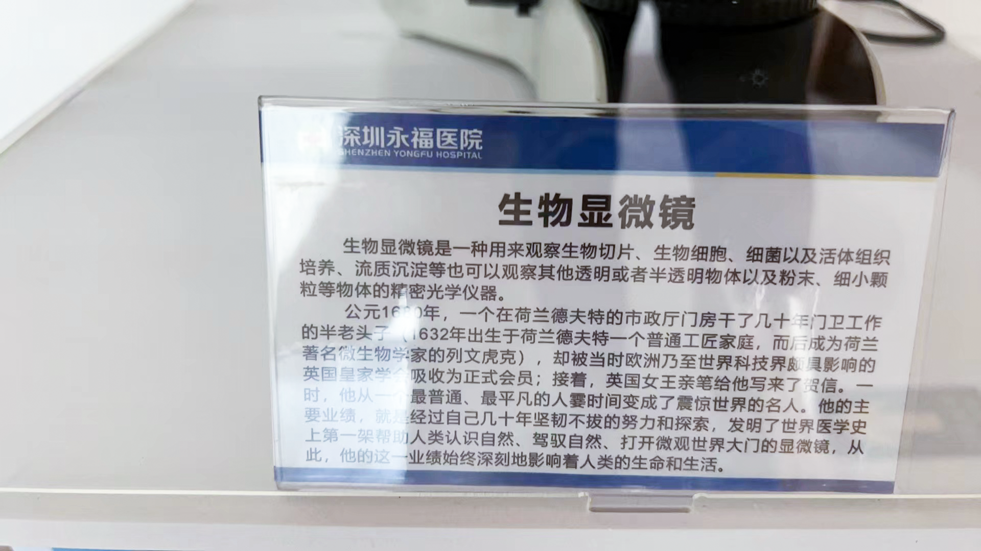undefined 图片
